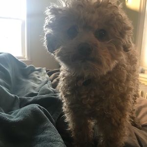 Meet your Posher, Maria